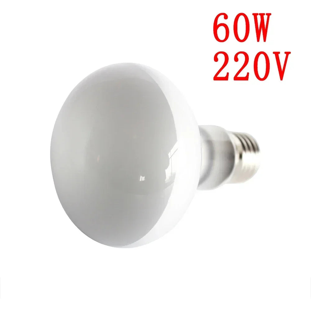 25W-100W E27 Reptile Heating Lamp Bulb UVA Heating Light Lizard Calcium Supplement Lamp Amphibians Terrarium Lighting Supplies