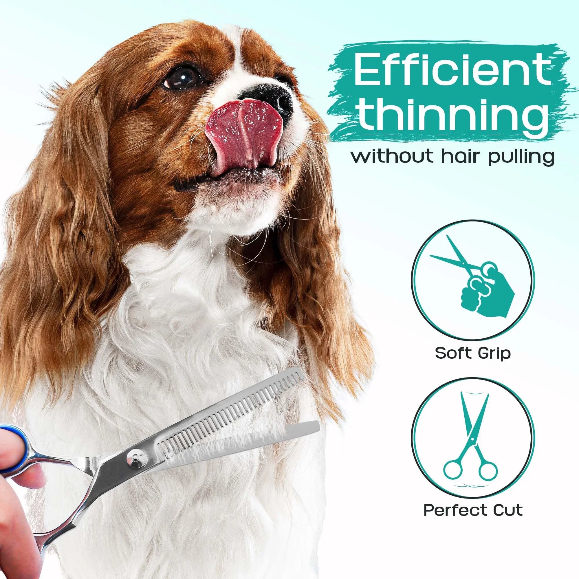 5 in 1 Professional Dogs Grooming Scissors Set Stainless Steel Dog and Cat Hair Thinning Shears with Safety Round Tip for Pet