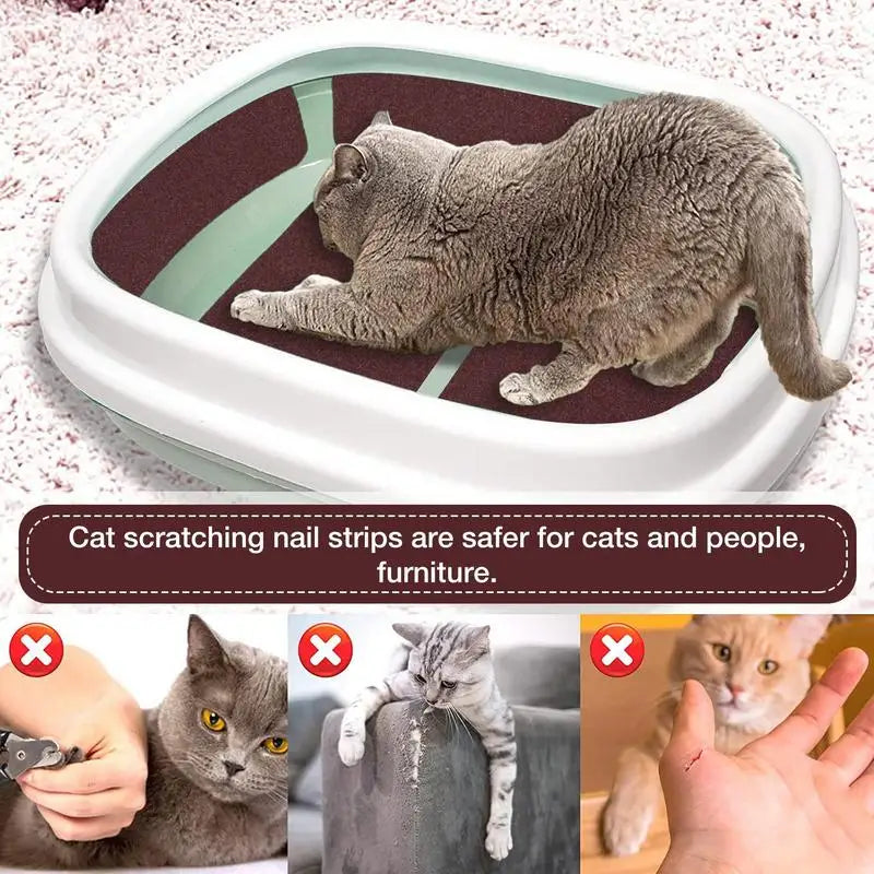 20 X 10 Inch Self Adhesive Sandpaper 3PCS Dog Scratch Pad Replacement 60 80 120grit Cat Nail File Scratcher Stickyback Sandpaper