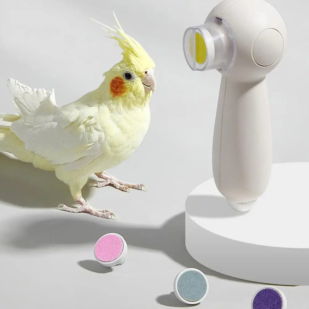 Parrot Nail Trimmer Noiseless Electric Beak Grinder Multipurpose Bird Care Supplies Nail Trimming Tool With 6 Grinding Heads For