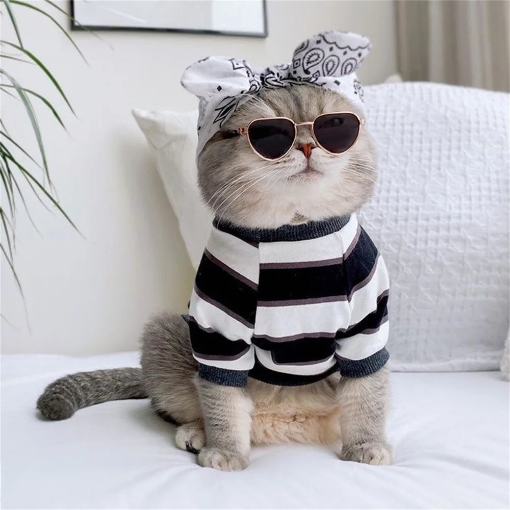 Cool Cat Glasses Pet Accessories for Cats Heart-shaped Transparent Reflective Sunglasses Kitten Sphynx Persian Pet Products