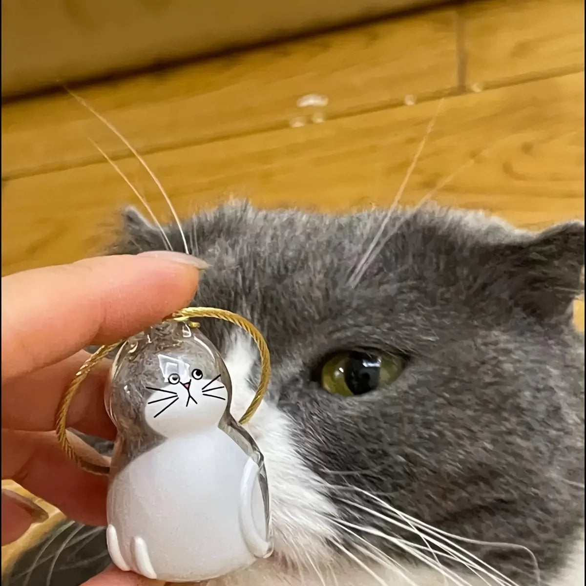 1/3pcs Transparent Cat Memorial Capsules Pet Hair Keepsake Box with Hanging Loop for Cat Lovers Gift Pendant Keychain Pet Access