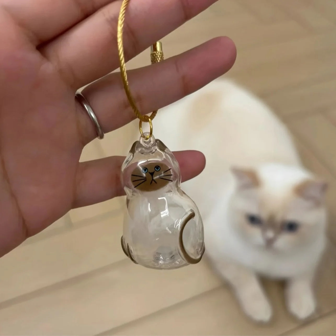 1/3pcs Transparent Cat Memorial Capsules Pet Hair Keepsake Box with Hanging Loop for Cat Lovers Gift Pendant Keychain Pet Access