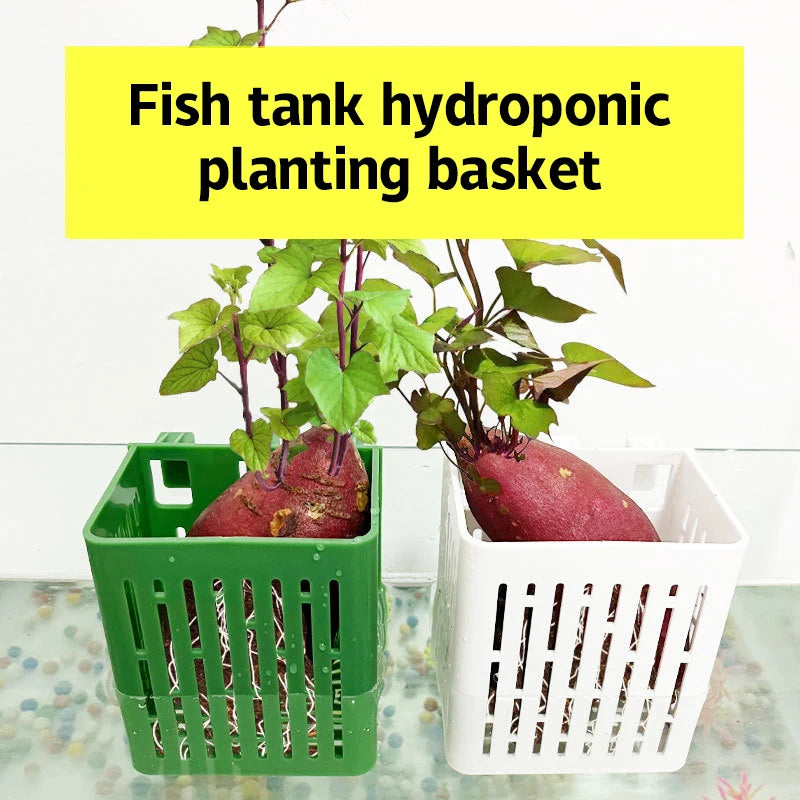 Wall-mounted Aquatic Planter Aquatic Herb Grower Box Aquarium Plant Basket Fish Tank Plant Holder Hydroponic Pot〔2025E〕