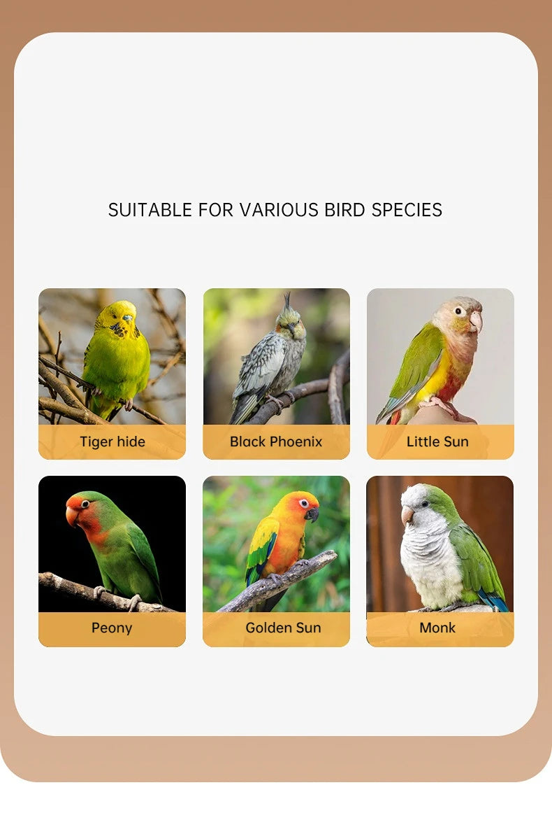Parrot Release Rope Bird Training Leash with Auto Flying Control for Parrots Stainless Steel Cord Auto Retractable Outdoor Fun