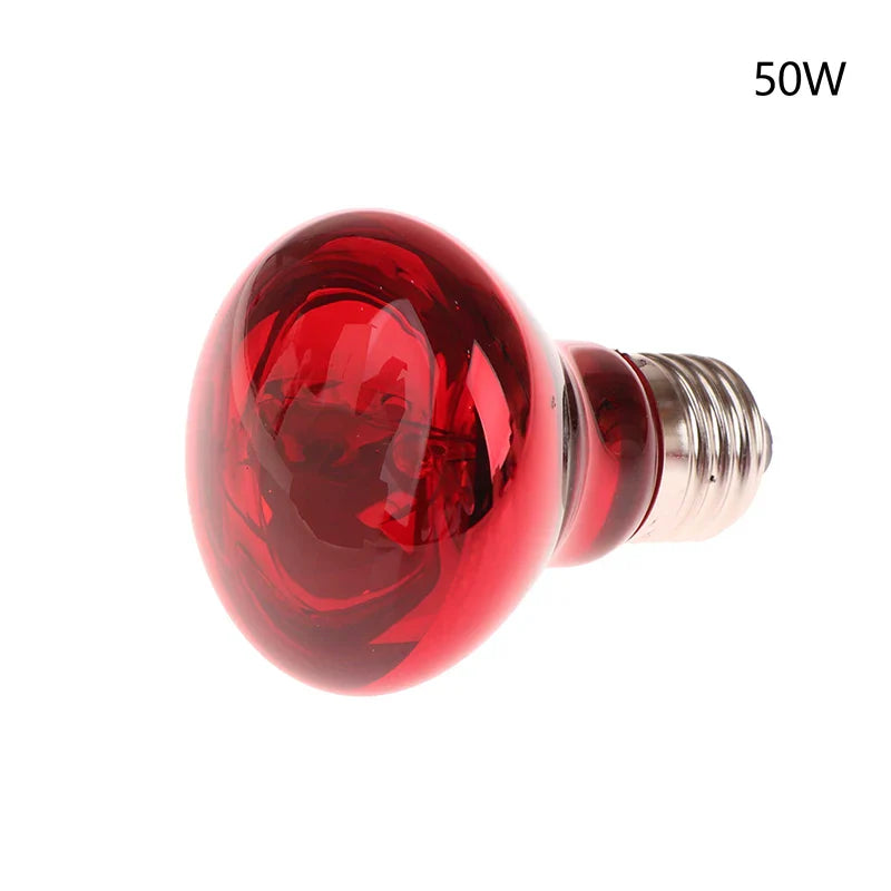25/40/50/60/75/100W E27 UVA Poultry Bulb Infrared Night Light Day Poultry Heating Bulb For Plants Amphibians Reptile Pets