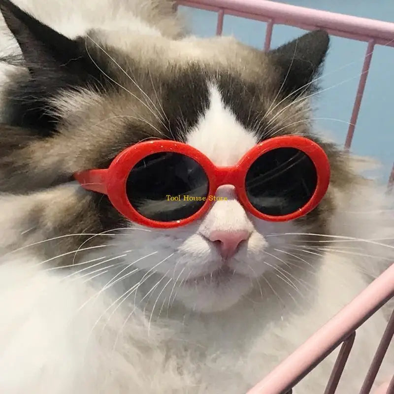 Sunglasses Pet Sunglass Small Dogs Glasses Classical Retro Circular Eyewear Photos Prop Costume Accessoy Cosplays