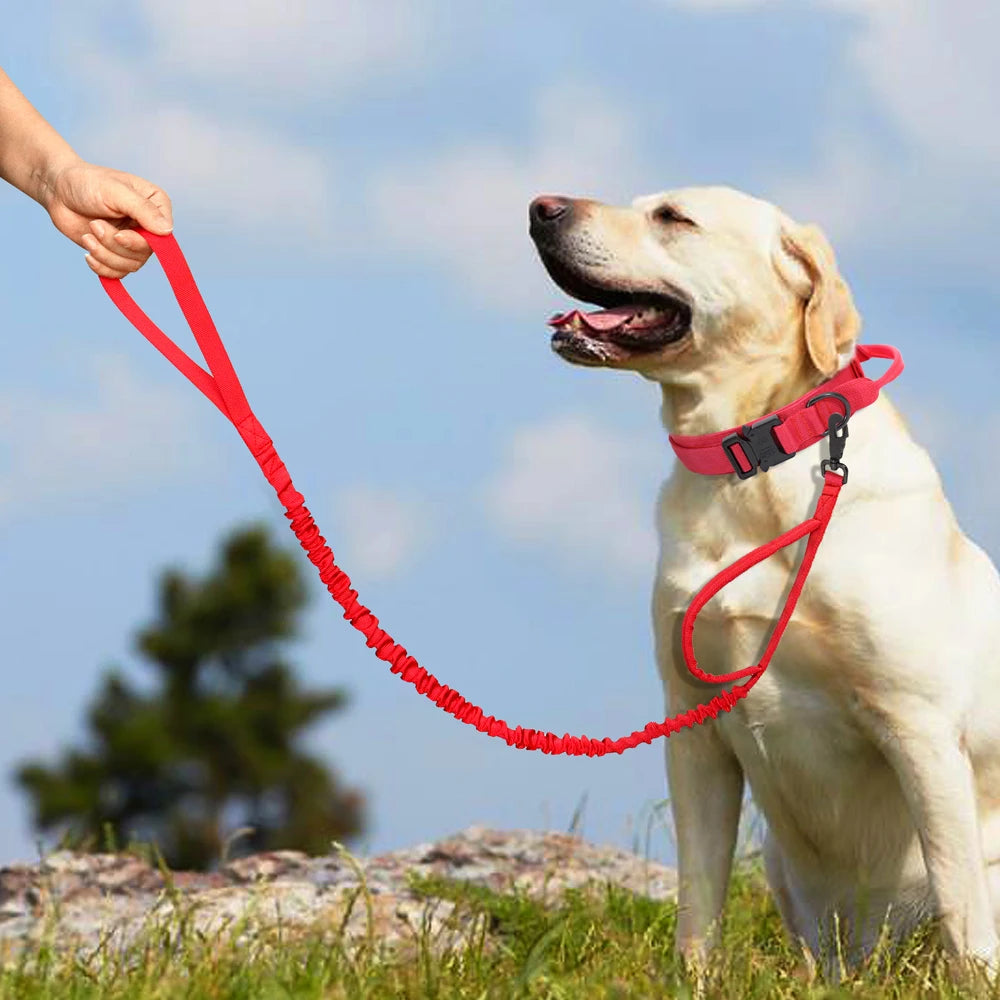 Durable Military Tactical Dog Collar Bungee Leash Set Pet Nylon Walking Training Collar For Medium Large Dogs German Shepard