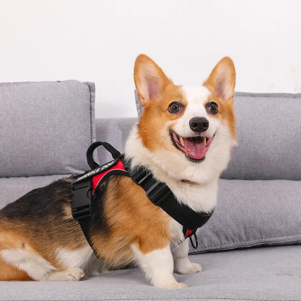 Reflective Pet Dog Harness No Pull Dog Vest Leash for Small Medium Large Dogs Walking Custom ID Tag Dog Accessories