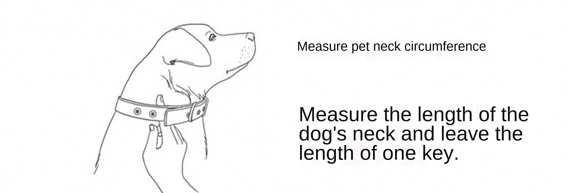 Dog Collar Pu Leather Collar Leash Pet Dog Collar Pet Supplies Cat Collar with Bells Dog Collar Chihuahua Dog Collar Cat Collar
