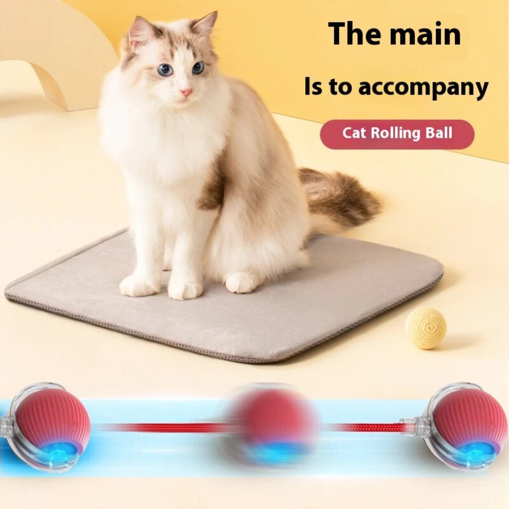 Automatic Rolling Ball with Tail Lamp USB Rechargeable Smart Interactive Cat Ball Toy for Cats Pet Dog accessories 고양이 장난감