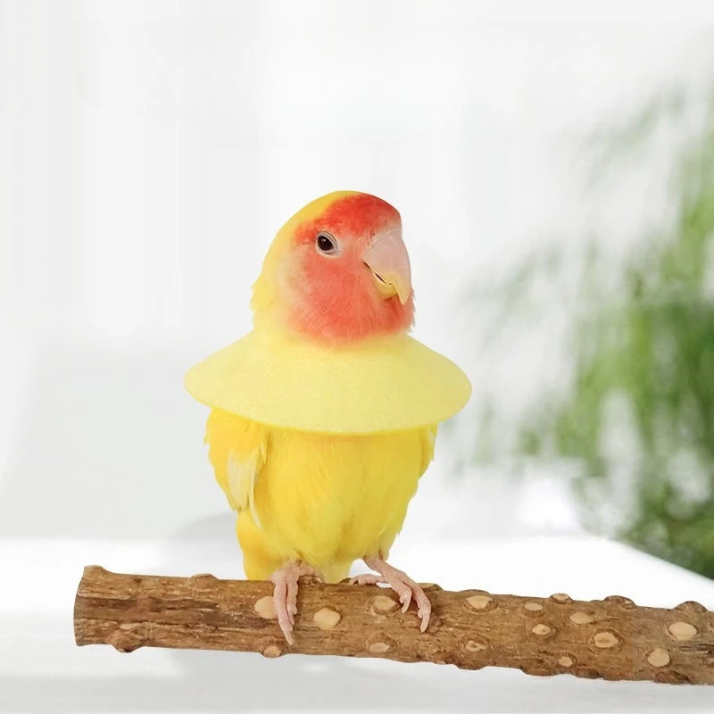 Soft Bird Collars Parrot Anti Bite CollarBreathable Anti Bite Cone Collar Soft Protective CollarComfortable Soft Neck Collar