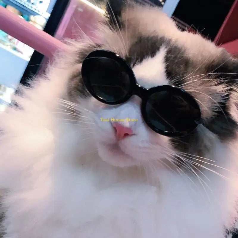 Sunglasses Pet Sunglass Small Dogs Glasses Classical Retro Circular Eyewear Photos Prop Costume Accessoy Cosplays