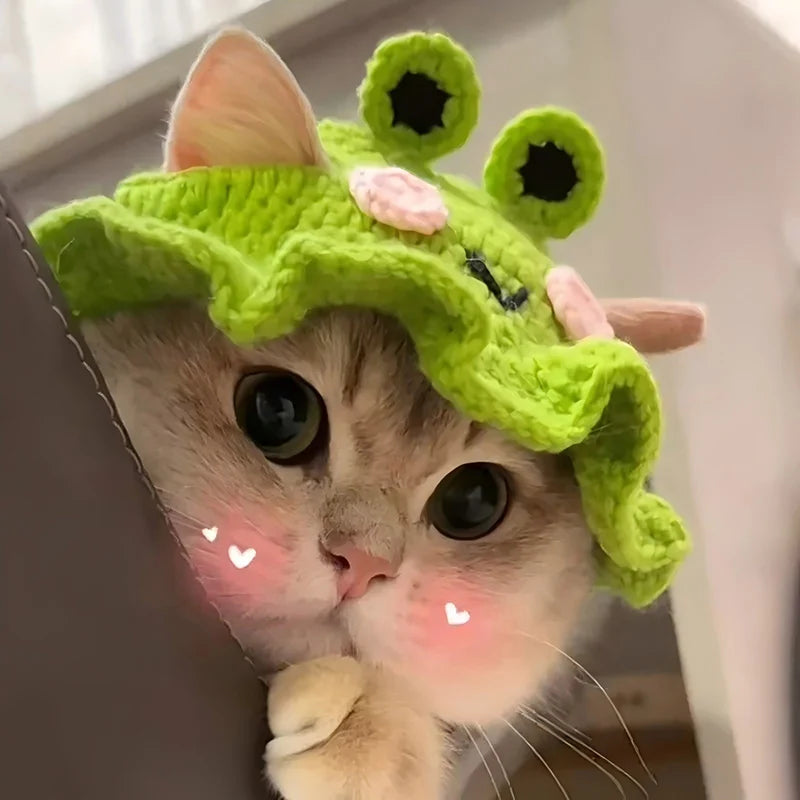 Cat Hat  Hand-made Elastic Woven Cap Pet Hat Puppy Kitten Headwear Knitted Hat Party Photo Shoot Props Decoration Cat Accessorie