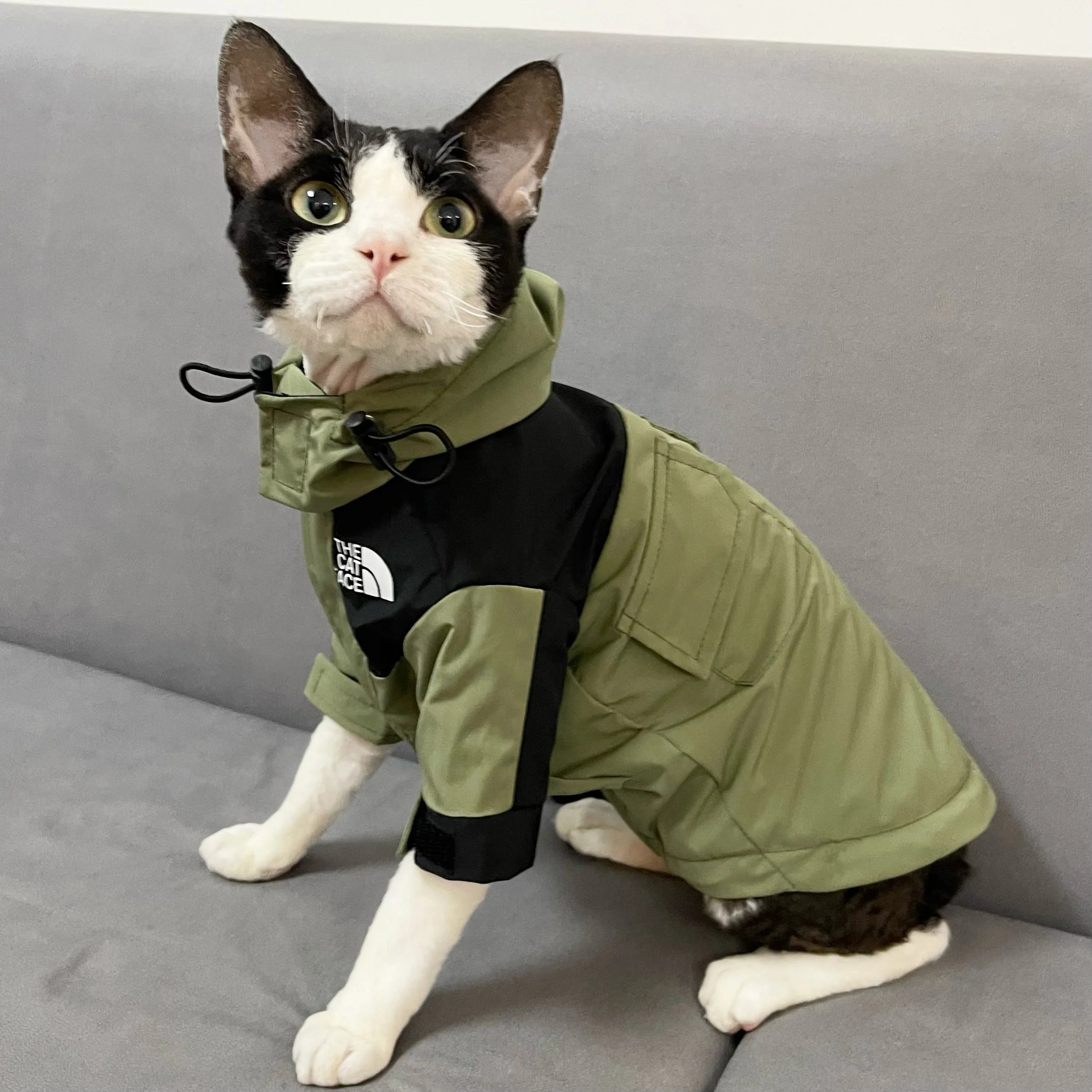 Fashion Cat Face Interchange for Sphynx Cat Coat Long Sleeves for Devon Rex Waterproof Windproof Coat for Kittens Cat Supplier