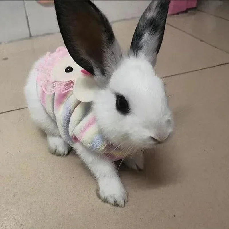 Plush Cat Rabbit Vest Cartoon Autumn Winter Pet Clothes for Kitten Puppy Bunny Guinea pig Warm Fleece Small Animals Clothing