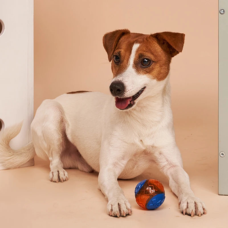 GiGwi Pet Dog Puppy Squeaky Chew Toys Sound Pure Natural Non-toxic Rubber Outdoor Play Small Large Dogs Funny Ball for Dogs