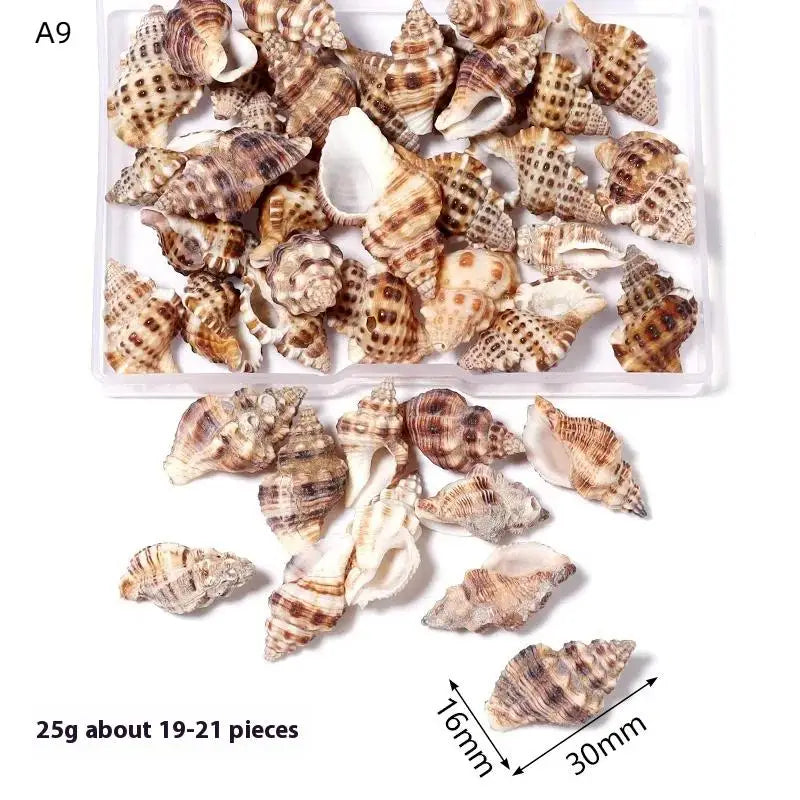 1 Box Sea Shells Spiral Shell Tiny Ocean Spiral Seashells Crafts Aquarium Decor Landscaping Accessories