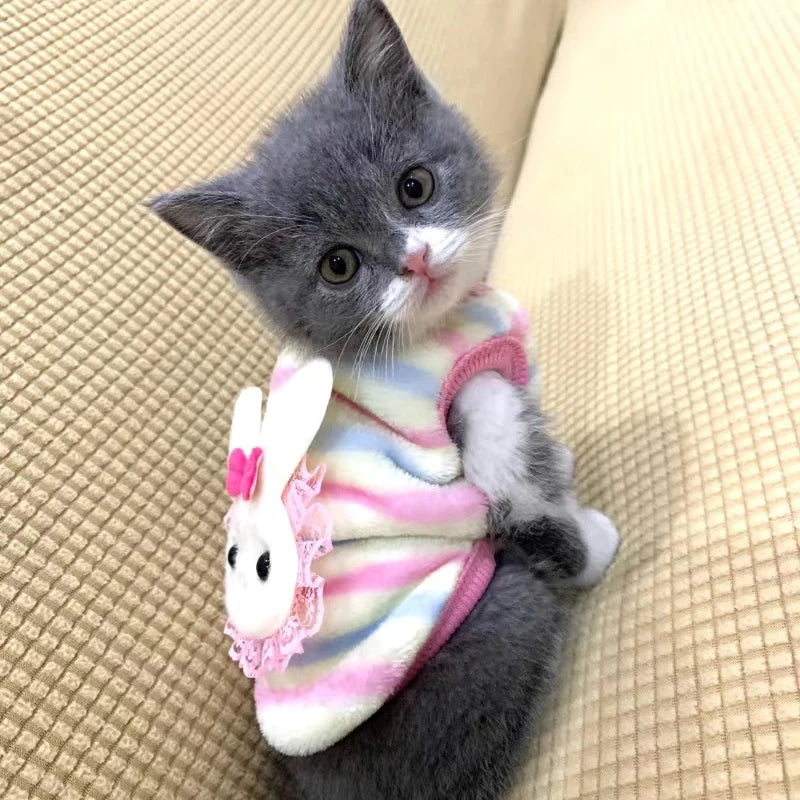 Plush Cat Rabbit Vest Cartoon Autumn Winter Pet Clothes for Kitten Puppy Bunny Guinea pig Warm Fleece Small Animals Clothing