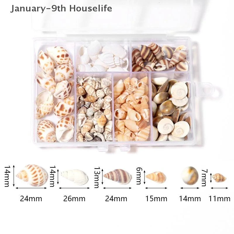 1 Box Sea Shells Spiral Shell Tiny Ocean Spiral Seashells Crafts Aquarium Decor Landscaping Accessories