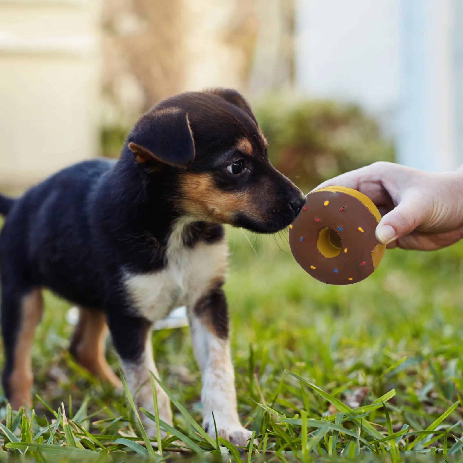 1PC Donut Dog Chew Toy Sound Toys Simulation Donuts Grinding Cleaning Tooth Relief Dog Toys Игрушки Для Собак Mascotas Perro