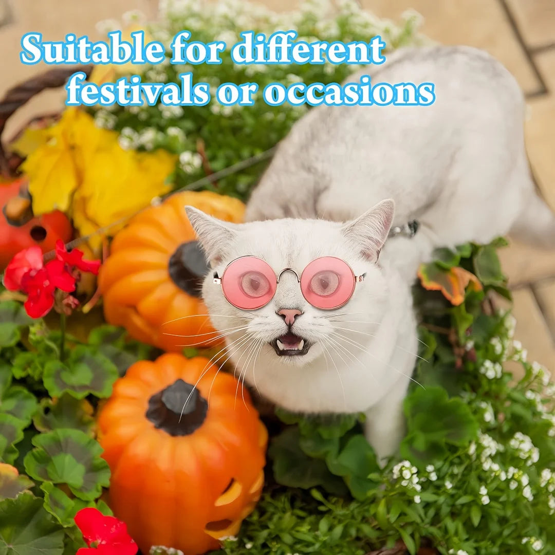 Fashionable Pet Sunglasses Metal Round Frame Puppy Cat Crown Prince Glasses for The Trend of Internet Famous Pet Photography