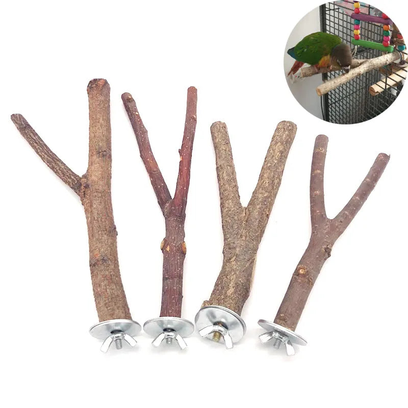 Natural Wood Pet Parrot Raw Wood Fork Tree Branch Stand Rack Squirrel Bird Hamster Branch Perches Chew Bite Toys Stick