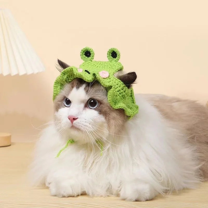 Cross-border selling cat and dog hats hand-knitted hats travel pet cute mini hats