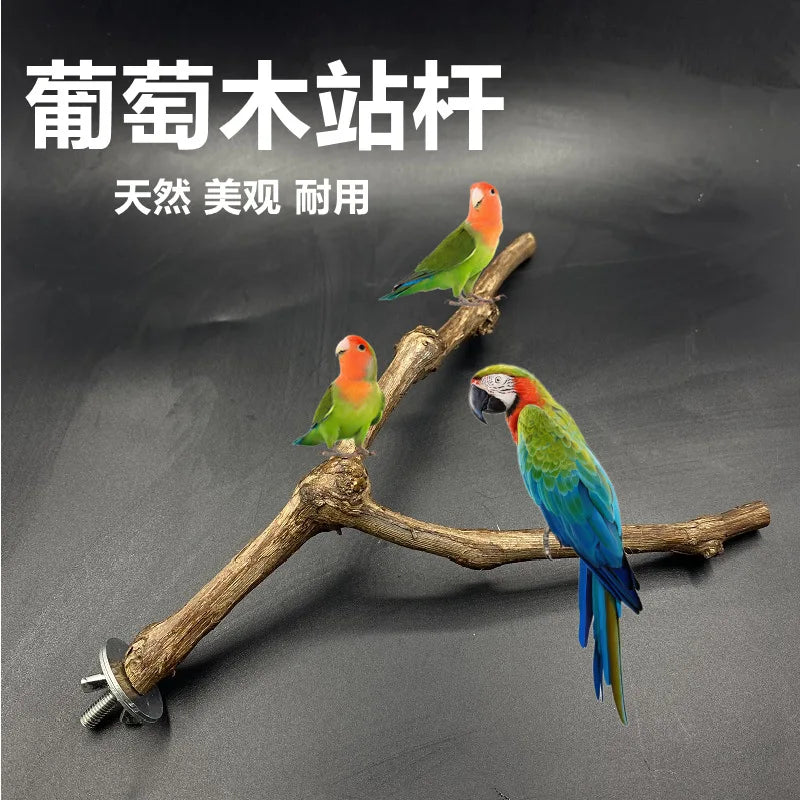 Parrot stand, grapewood tree branch, bird stand stick, grapewood grinding claw stick, bird supplies, bird toys, parrot toys