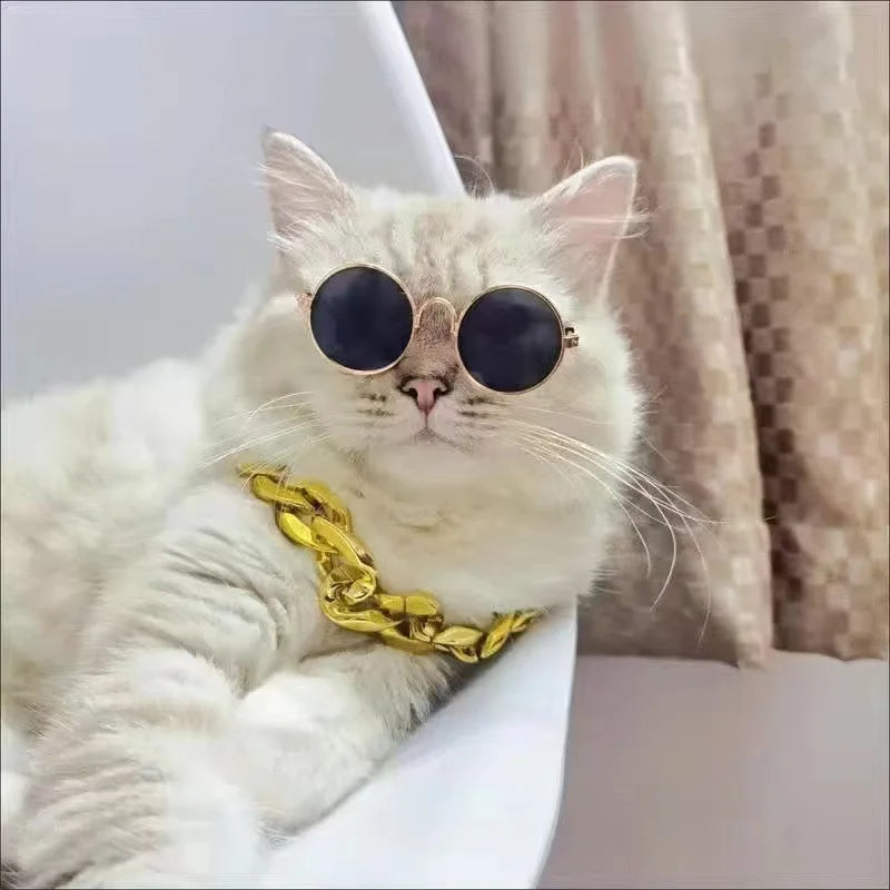 Glasses For a Cat Pet Products Goods For Animals Dog Accessories Cool Funny The Kitten Lenses Sun Photo Props Colored Sunglasses