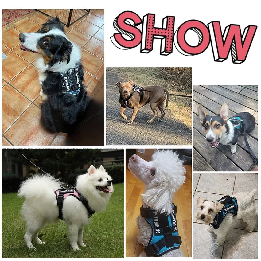 Reflective Pet Dog Harness No Pull Dog Vest Leash for Small Medium Large Dogs Walking Custom ID Tag Dog Accessories