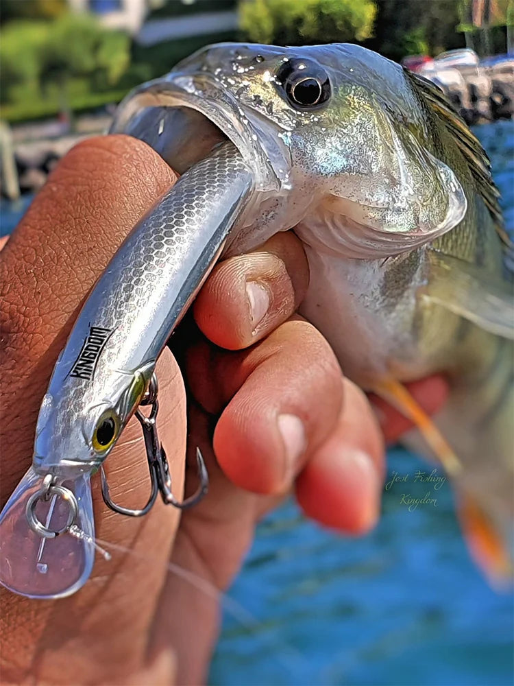 Kingdom Fishing Lures 11g 13g 30g 40g 205mm 130mm Long Casting Needle Pencil Artificial Stickbaits Sinking Floating Fishing Lure