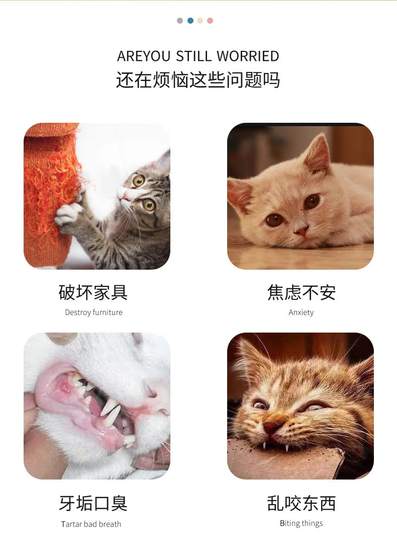 1PC Cat Toys Pet Plush Ball Toy Pet Elastic Bell Ball Self Hi Balls Playing Cat Colorful Woolen Ball Cat Toys Interactive 고양이캣타워