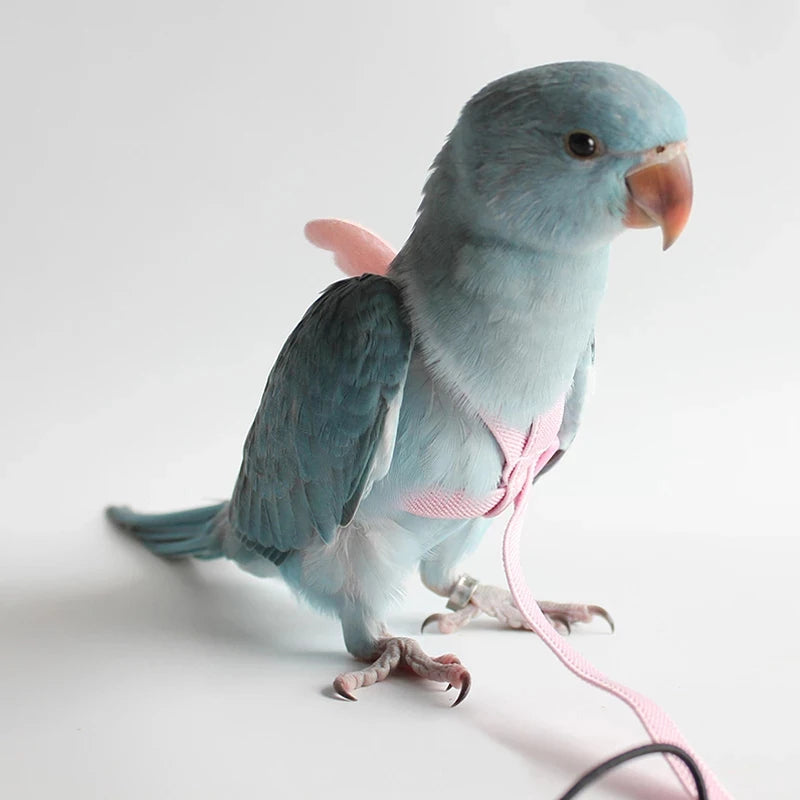 Adjustable Parrot Bird Harness Leash Set Anti-bite Training Harness Parrots Outdoor Flying Rope Cockatiel Small Birds Supplies