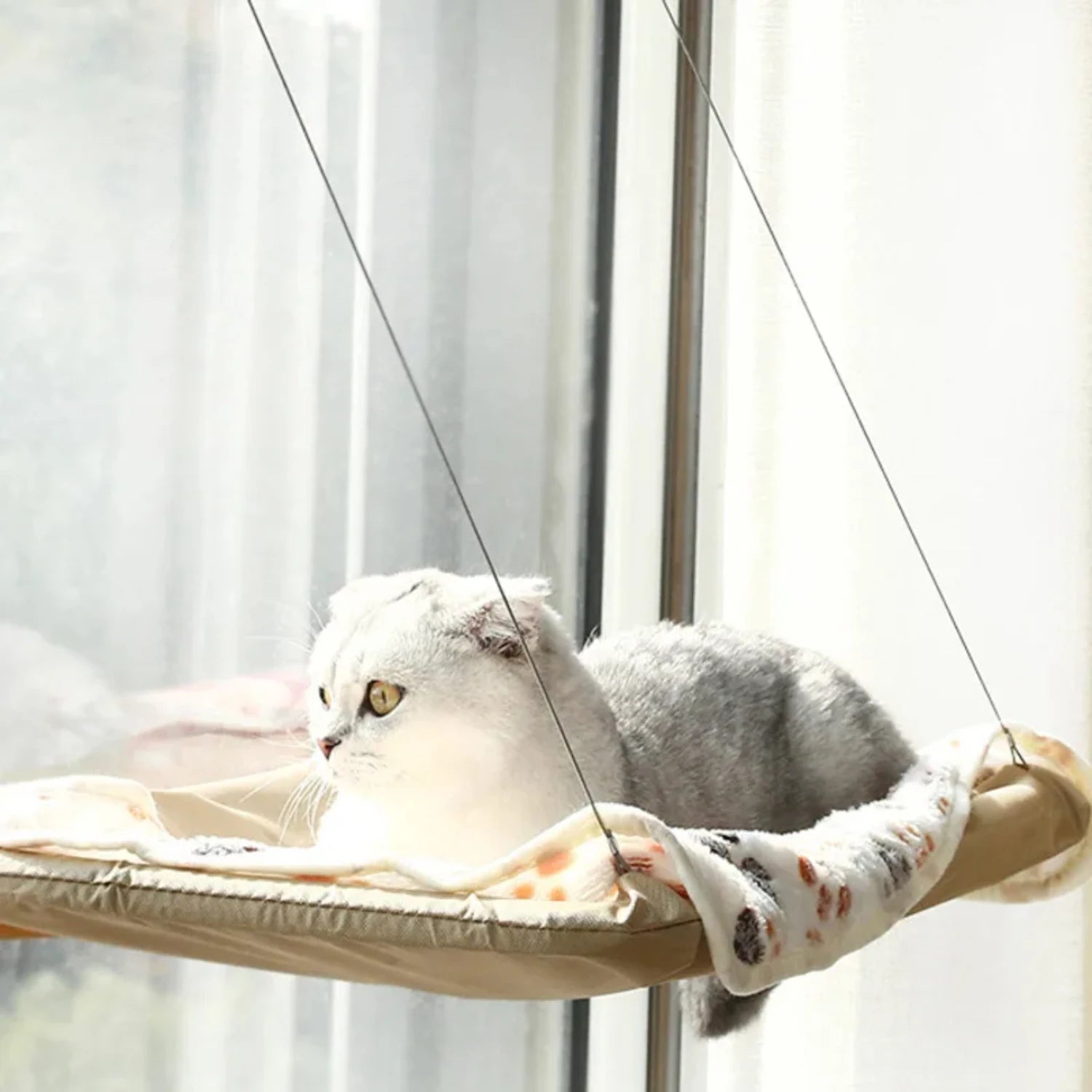 Hanging Cat Bed Pet Cat Window Shelf Net Cat Hammock Suction Cup Cat House Perches Cave Cat Nest Cat Supplies Cat Accessories