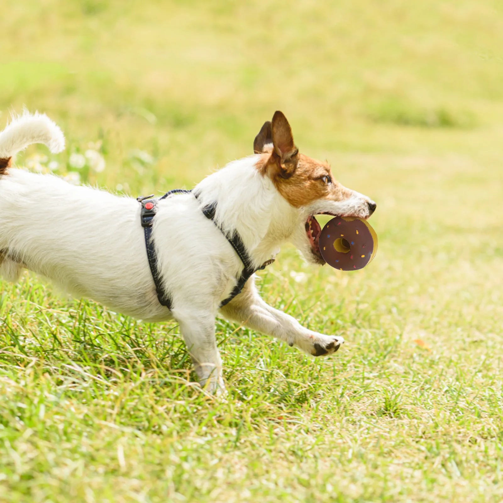 1PC Donut Dog Chew Toy Sound Toys Simulation Donuts Grinding Cleaning Tooth Relief Dog Toys Игрушки Для Собак Mascotas Perro