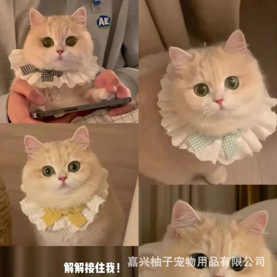 Lace Multi Color Cat Scarf Kawaii Pet Cat Dog Triangular Bandage Cute Princess Style Comfortable Cotton Cat Accessories