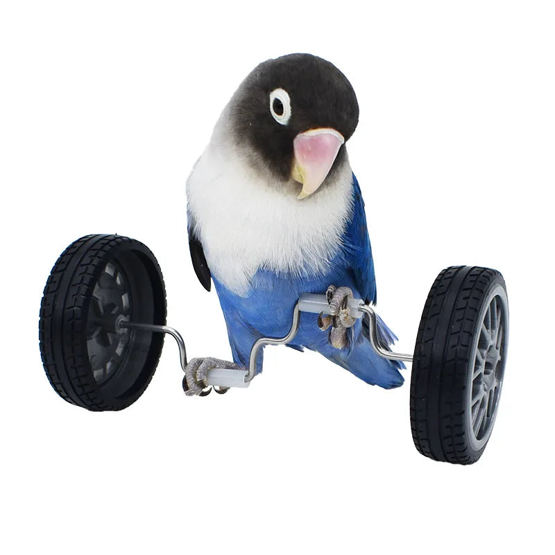 Parrot Balance Birds Intelligence Training Interactive Toy Mini Bicycle Wheels Roller for Small Medium Birds Pet Supplies Toys