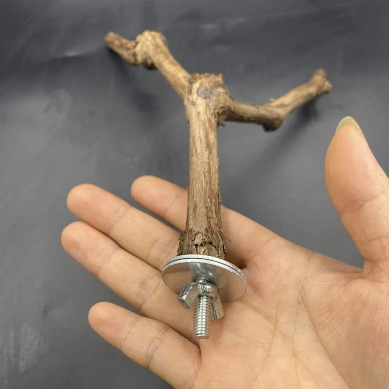 Parrot stand, grapewood tree branch, bird stand stick, grapewood grinding claw stick, bird supplies, bird toys, parrot toys