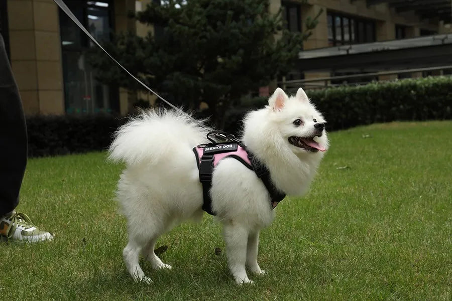 Reflective Pet Dog Harness No Pull Dog Vest Leash for Small Medium Large Dogs Walking Custom ID Tag Dog Accessories