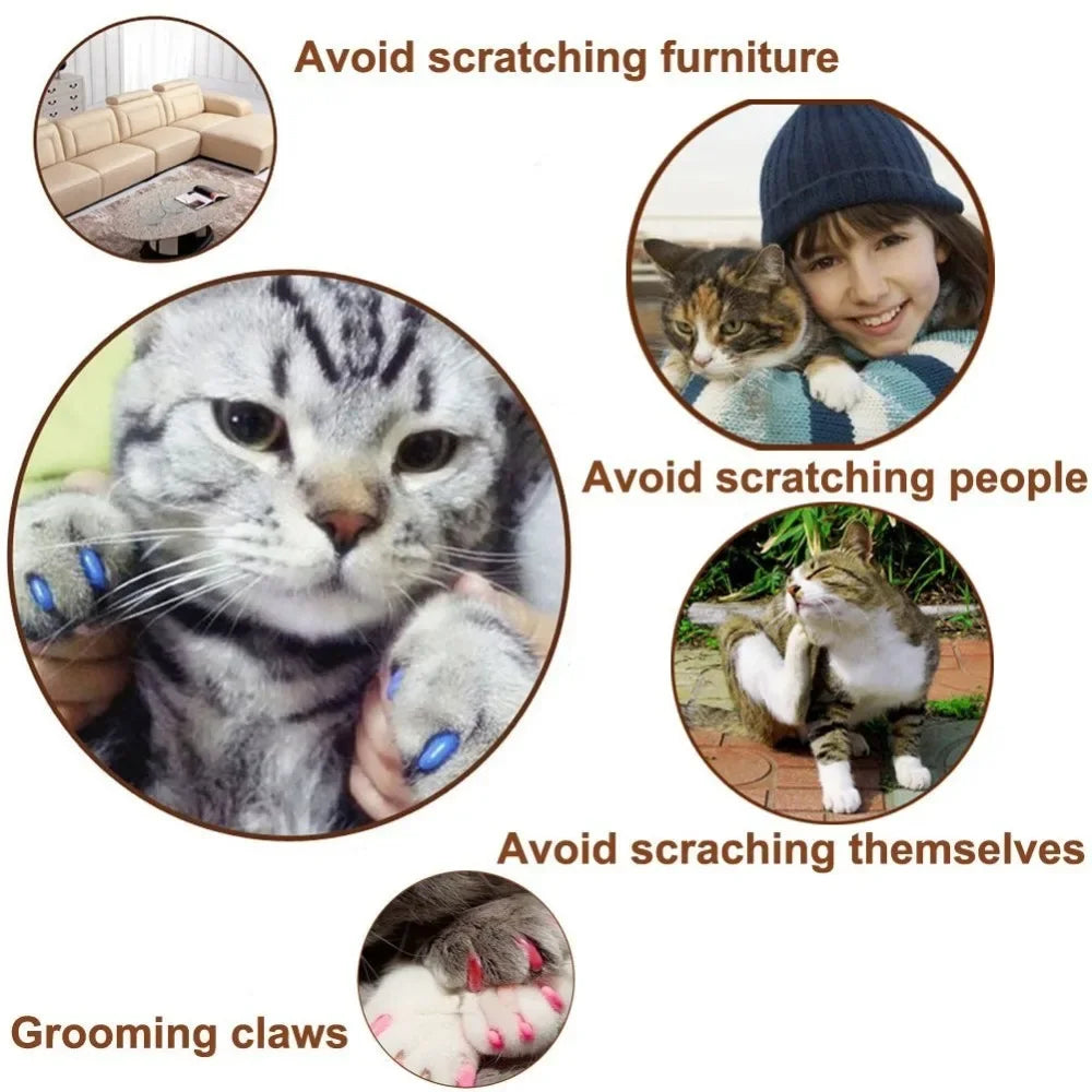 New FASHION Colorful Cat Nail Caps Soft Cat Claw Soft Paws 20 PCS/lot with Free Adhesive Glue Size XS-L Gift for Pet Dog