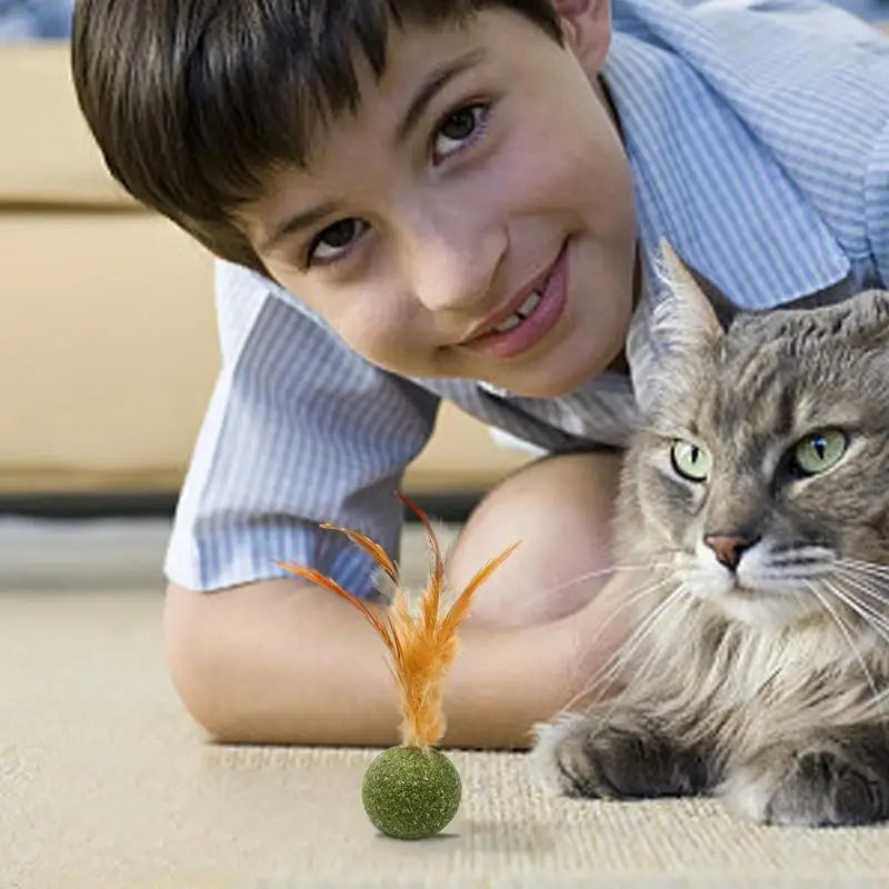 Natural Catnip Feather Balls Lickable Cat Grass Snack Kitten Scratchers Toy Treats Chewing Fresh Breath Cat Toys Cat Treats