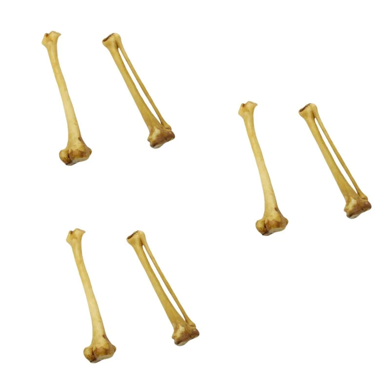1/12 Scale Human Beings Skeleton PVC Model for 6in 7in Action Figure Accessory Scene Collection Feeding Box Fish Tank Decoration