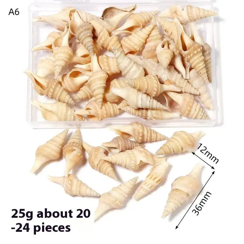 1 Box Sea Shells Spiral Shell Tiny Ocean Spiral Seashells Crafts Aquarium Decor Landscaping Accessories