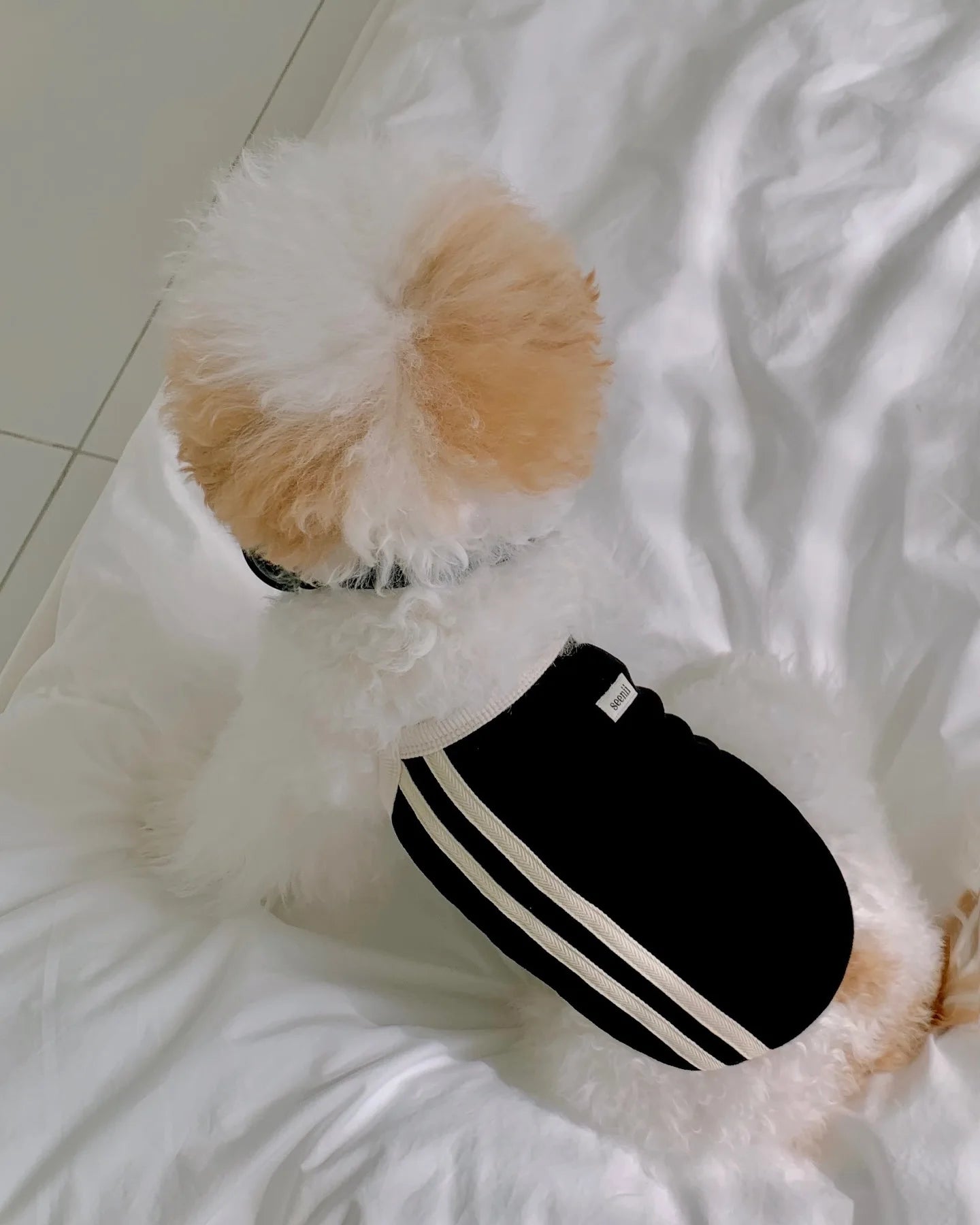 Pet Spring/Summer Dog Sports Tank Top Strap Cool Sunscreen Tank Top Teddy Cat Summer Dress Puppy Clothes