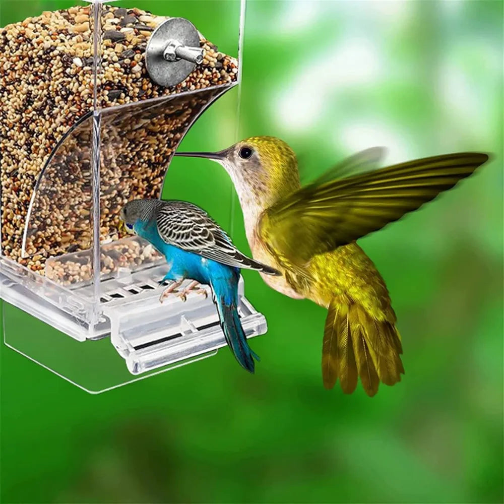 Automatic Parrot Feeder Drinker No Mess Bird Feeders Seed Food Container Cage Accessories for Small and Medium Parakeets