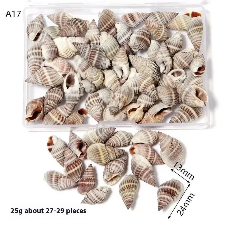 1 Box Sea Shells Spiral Shell Tiny Ocean Spiral Seashells Crafts Aquarium Decor Landscaping Accessories