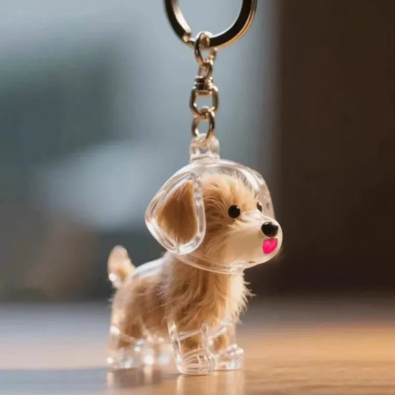 Cat Dog Keychain Pet Hair Storage Box Cute Pets Hair Fur Collection Memory DIY Pendants Bag Decoration Hanging Souvenirs Gift