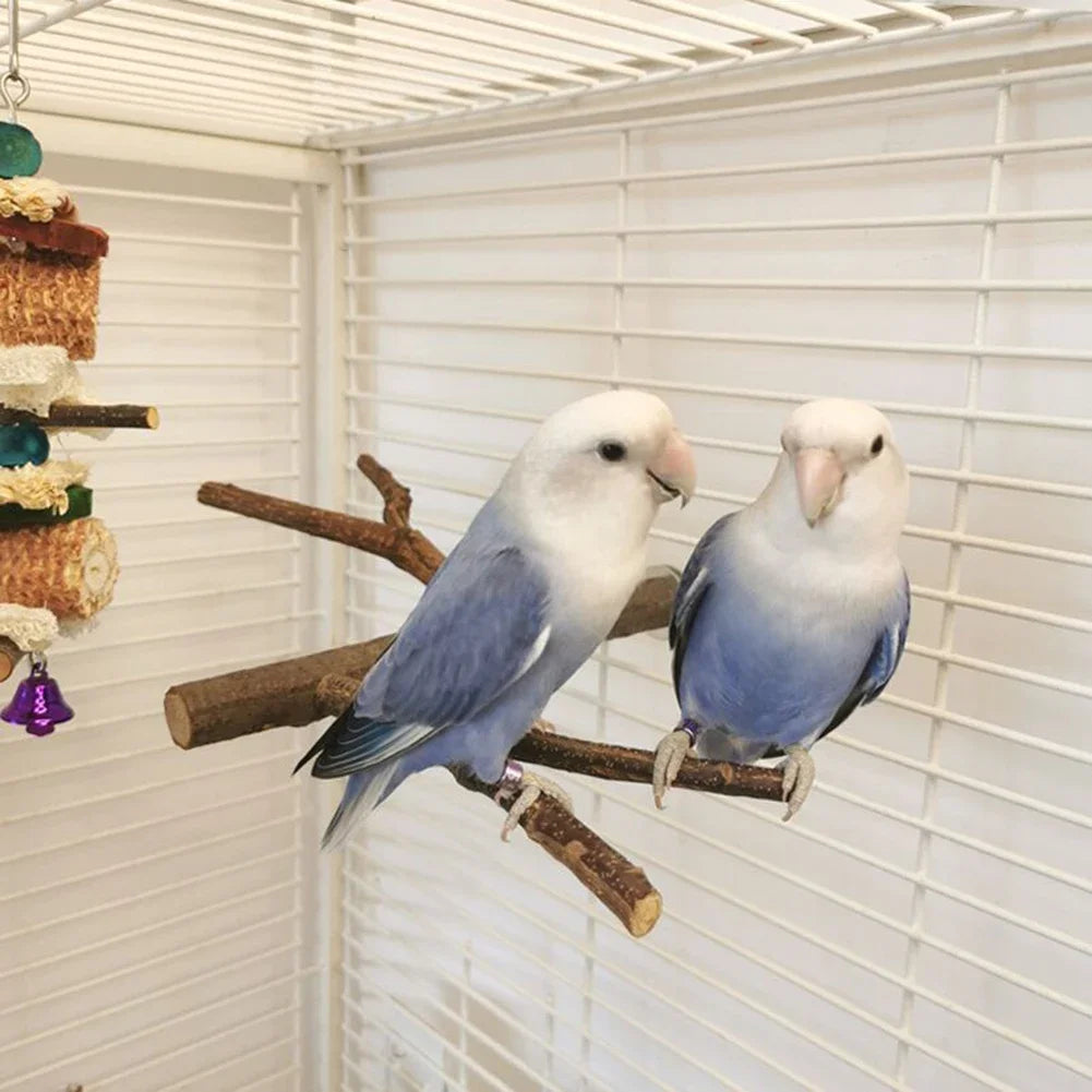 Multi Stand Branch Parrot Perch Bird Cage Toys Natural Bird Perch Stand for Small Budgies Conure Parrot Parakeets Bird Toy