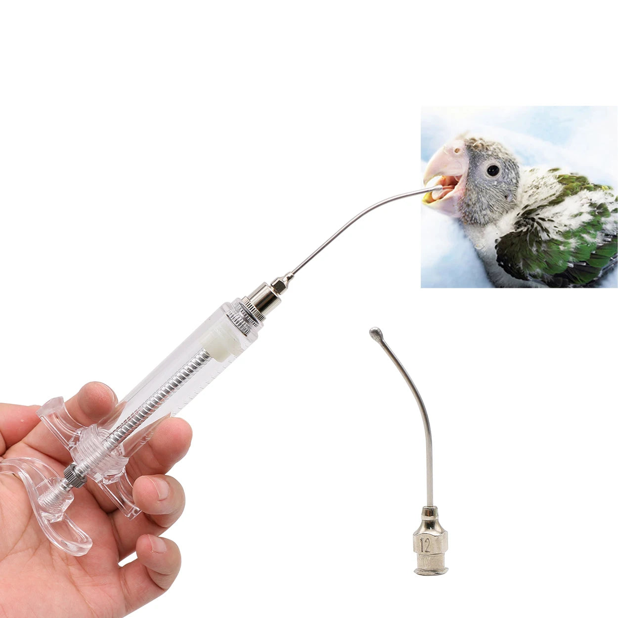 1Pc Stainless Steel feeding Tube Medicine Feeder Elbow Quail Parrot Bird Feeding Tube Small Animal Pet Feeding Tools